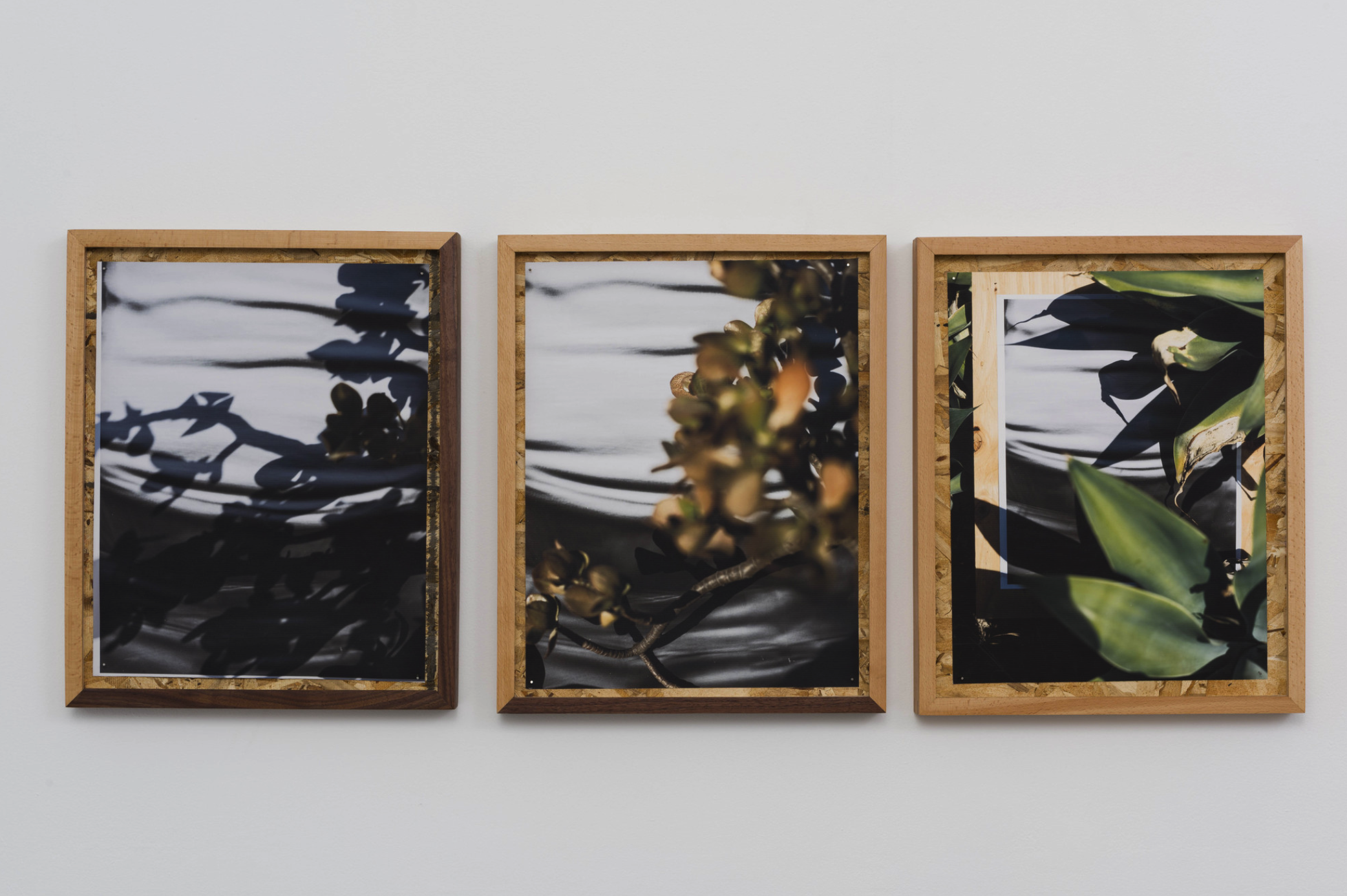 圖四、從左至右《庫卡蒙格牧場 34.1064° N, 117.5931° W. 》2018《回聲公園 34.0782° N, 118.2606° W.》 2018《康普頓 33.8958° N, 118.2201° W. 2018》David Alekhuogie